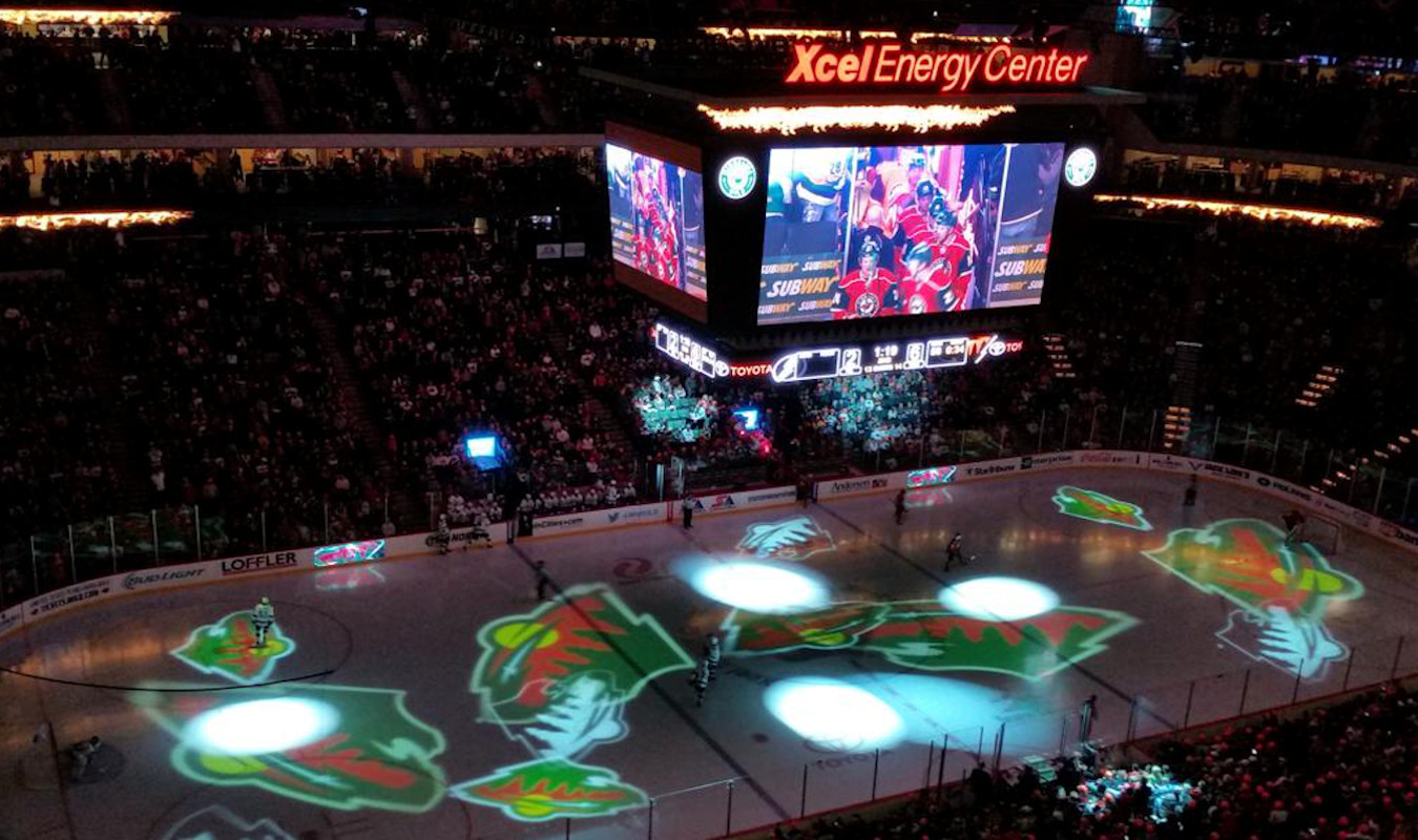 Minnesota Wild Stadium Dude