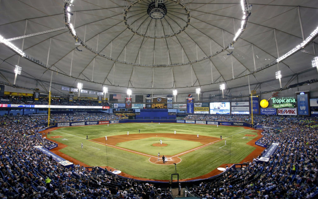 Tampa Bay Rays Stadium Dude
