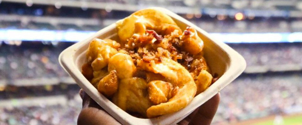 Miller park Wisconsin Cheese Fry